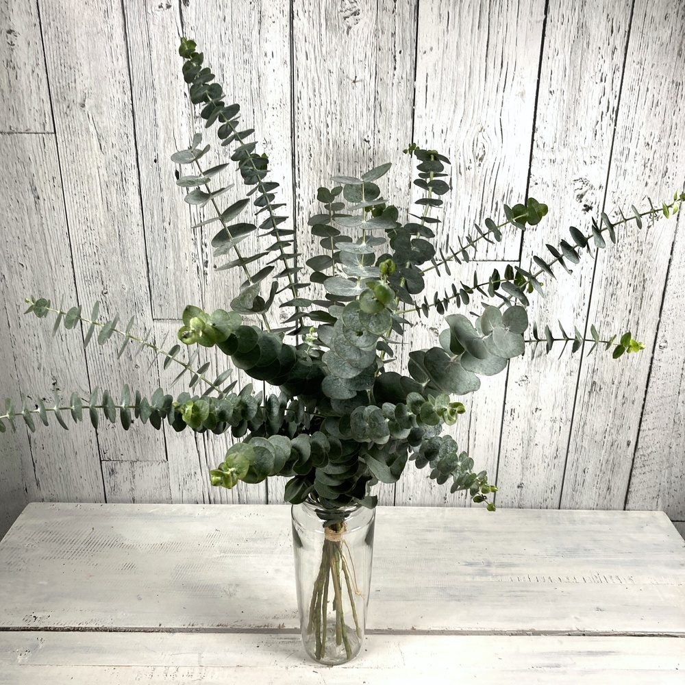 Bouquet d'eucalyptus